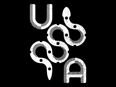 USSSA logo snake type usa