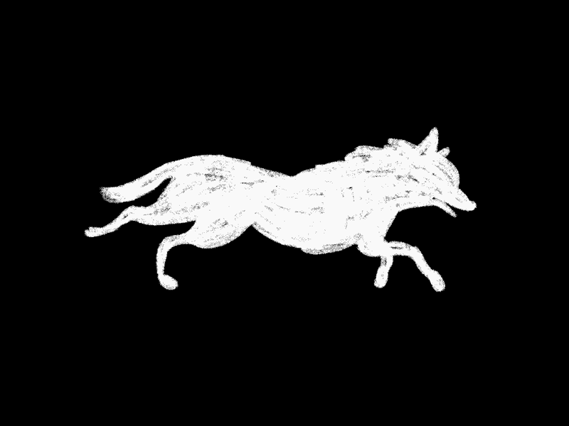 Wolf Running animation chalk frame animation illustration running wolf