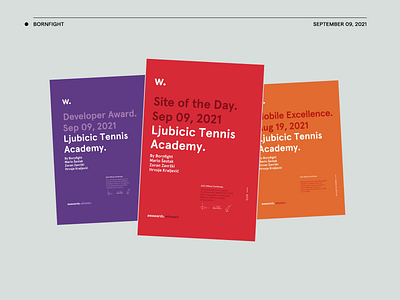 Awwwards—Ljubicic Tennis Academy animation art direction design layout ui website