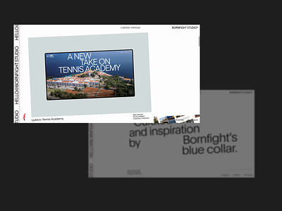 BORNFIGHT STUDIO® art direction branding design layout typography ui website