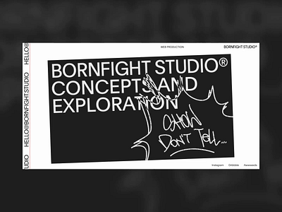 BORNFIGHT STUDIO® art direction branding design layout typography ui website
