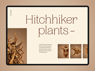 Hitchhiker Plants art direction design layout typography ui website