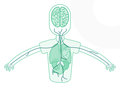 Sensie Science Illustrations body brain illustration nerves organs sensie