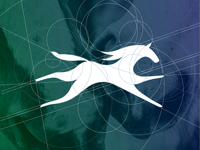 Horse Logo Geometry branding design geometric horse mark design