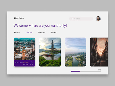 Find Flight UI Design flight flight app flight search ui web design