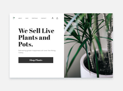 Shop Plants minimal minimal web design plants pots shop plants ui web design