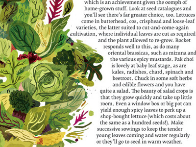 Let us enjoy Lettuce. cooking food gardening greenery illustration lettuce