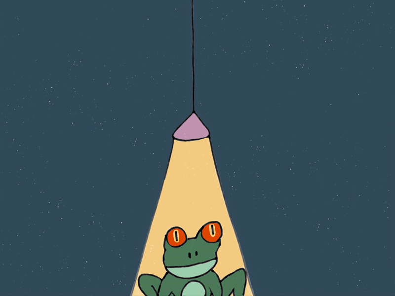 Infrogmation is Everything animals animatic animation frog gif hand drawn ipad lamp motion design motion graphics paper by fifty three