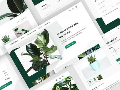E-commerce Site for Indoor Plants clean ecommerce website online shopping plants shopping ux website