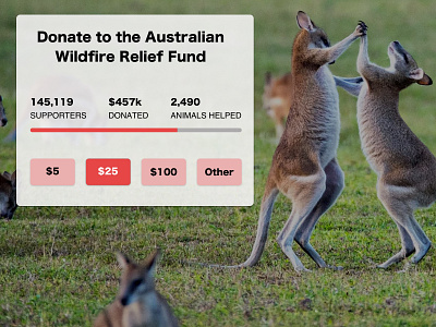 Daily UI | 032 - Crowdfunding Campaign