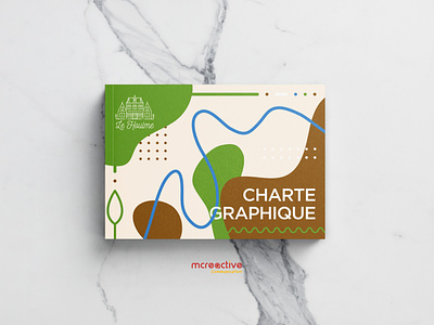 Charte Graphique Institutionnelle adobe branding charte graphique design graphic design identité visuelle illustrator indesign logo photoshop