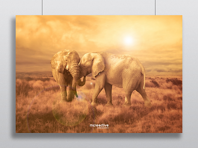 Elephants in the savannah adobe africa art artist compositing gallery photoshop