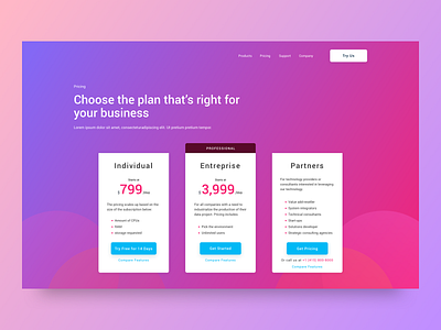 Pricing Page