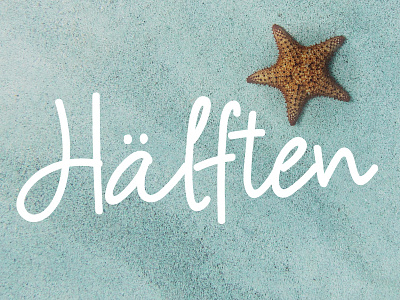 Halften brush font hand lettering paint painted script type typeface typography