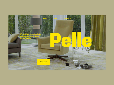 Pelle — Landing armchair colors interface minimal photo retro typogaphy ui ux web website yellow
