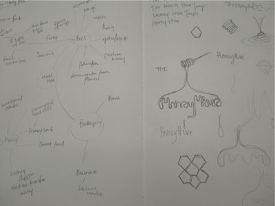 Honey Hive concepts doodles mind map process