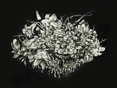 Ink illustration_Blooming illustration