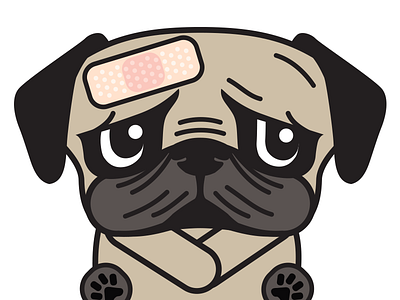 Puggin' it up bandaid dog hug a pug hurt pug puggie puggy puppy sad