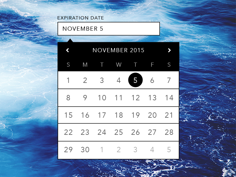 Daily UI #027 - Dropdown calendar dropdown 027 daily ui