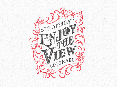 Enjoy The View apparel colorado flourish tshirt typography