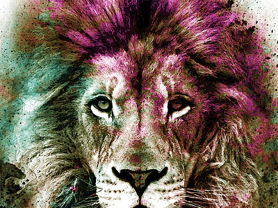 Lion color lion paint texture wildlife