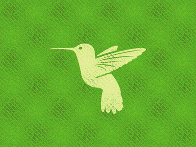 Hummingbird chicoine graphic green hummingbird icon kyle lime logo nature wildlife