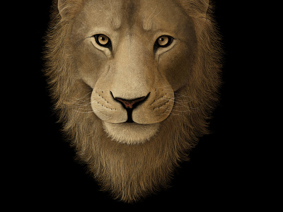 Lion - Digital Illustration apple pencil digital illustration ipad pro