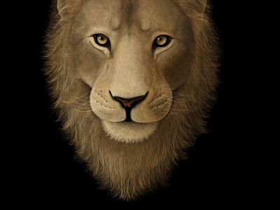 Lion - Digital Illustration