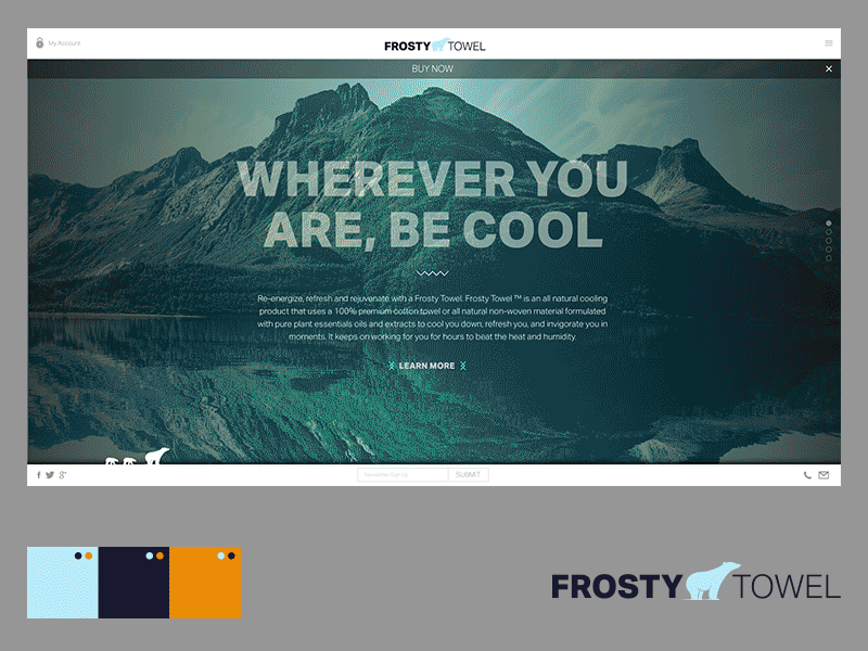 Frosty Towel branding graphic design logo design web design