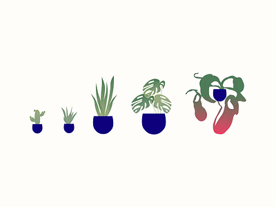 Houseplants design figma illustration ui