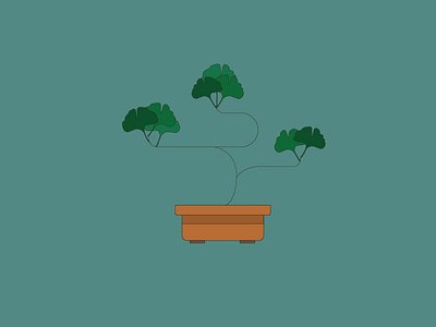 ginko bonsai bonsai ginko line simple