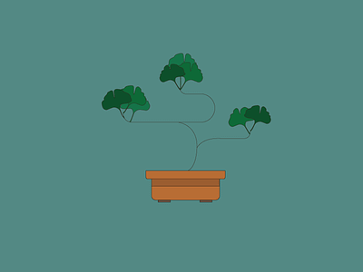 ginko bonsai
