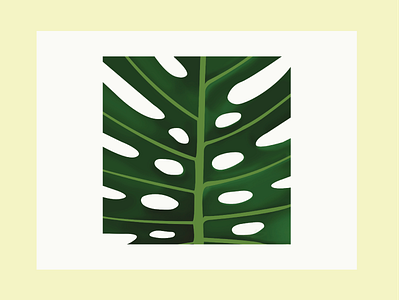 Monstera painting digital painting monstera painting plant swiss cheese plant
