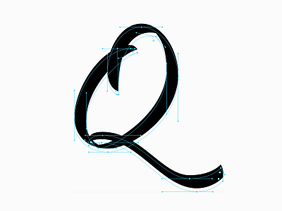 Curvy Q beziers brush brush lettering calligraphy design goodtype illustrator lettering procreate procreate app q script type typematters typespire typism typography vector