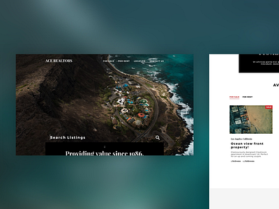 Ace Realtors — Landing Page app creative design interface minimal ui ux visual
