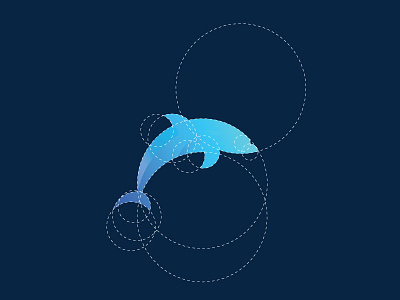 Dolphin - Golden Ratio