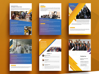 Brochure-Folder Design