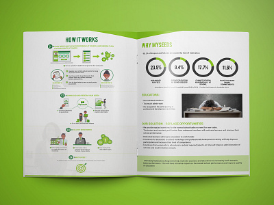 My Seeds Brochure Design advertisement brochure brochure design brochure layout brochure mockup catalog design graphics nisha nishadroch print