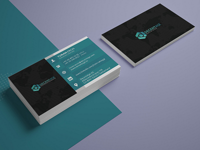 Decent Age Business Card Design business card business card template card company design designer business card nisha nisha droch nisha f1