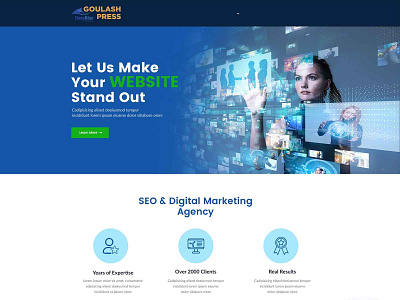 SEO & Digital Marketing Agency Web Page Design branding concept creative design landing landing page marketing nisha nisha droch nisha f1 page site typography web web page website