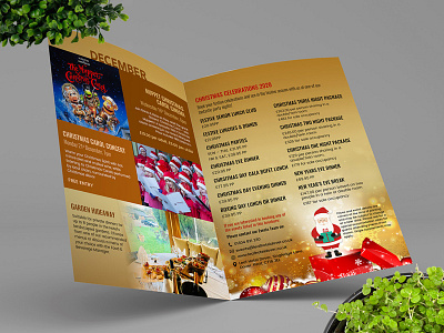 Christmas Brochure Design