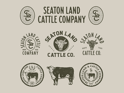 Design Exploration for Seaton Land Cattle Co. artwork badge branding graphicdesign handrawn illustration vector vintage vintage badge vintage inspired vintage logo