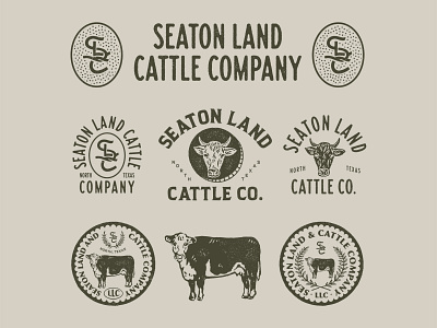 Design Exploration for Seaton Land Cattle Co.