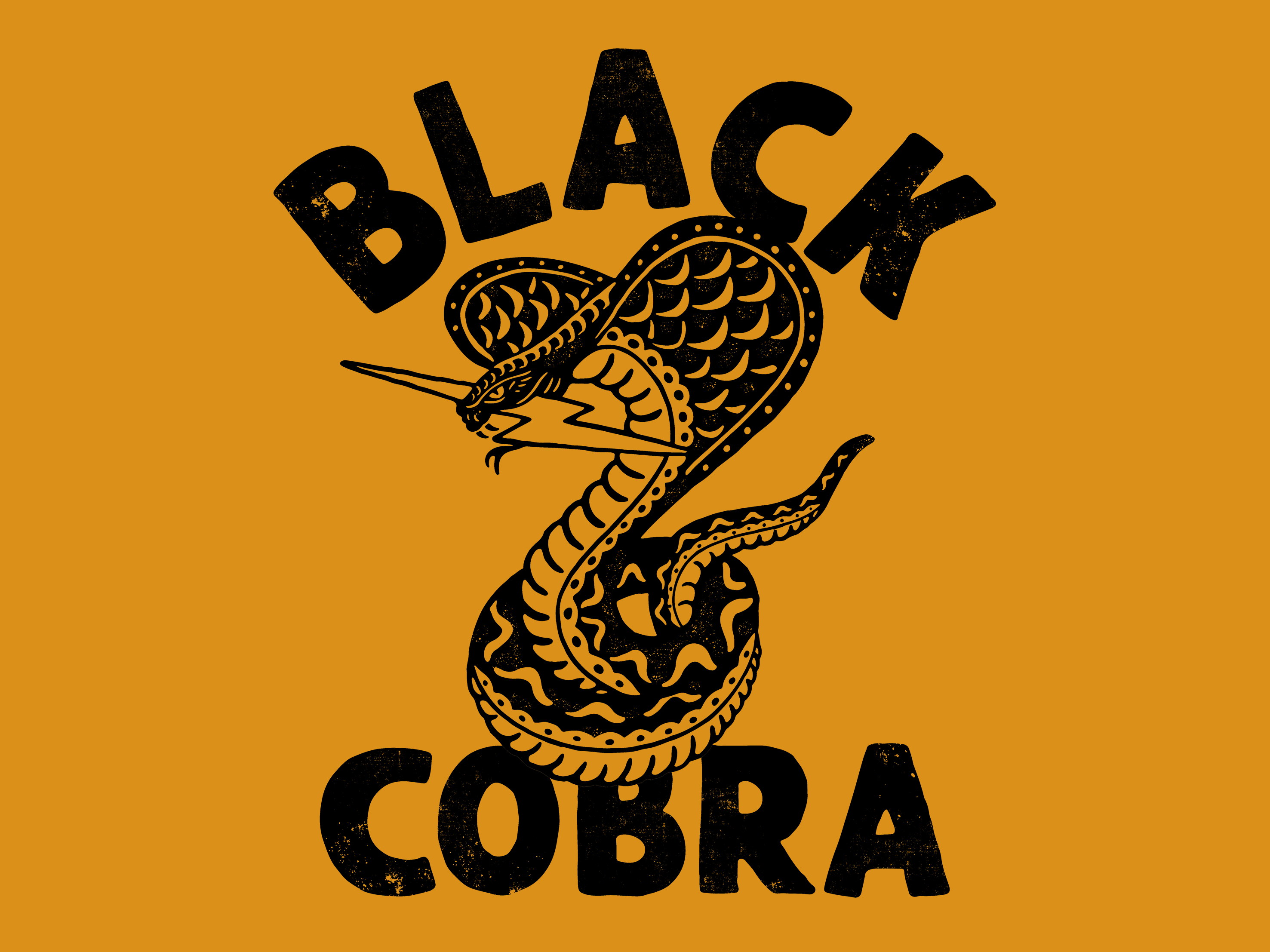 Cobra monochrome logo on a dark background Vector Image