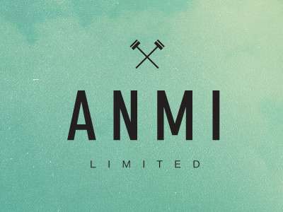 ANMI Logo black branding clean identity logo minimal simple