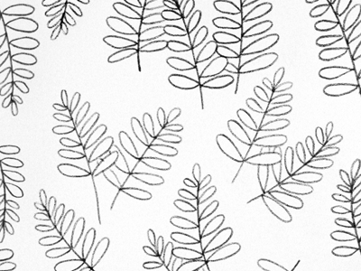 pattern illustration pattern