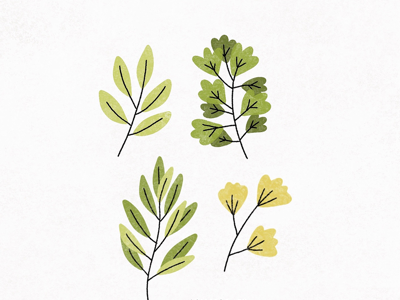 Yes, more plants. botanical drawing illustration painting plants