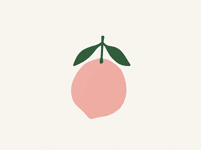 PEACH digital fruit illustration peach