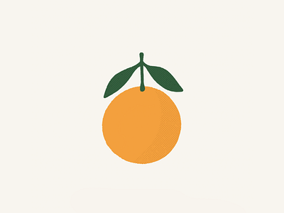 ORANGE digital fruit illustration orange