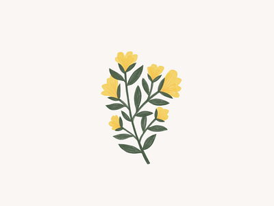 yellow flower flower illustration